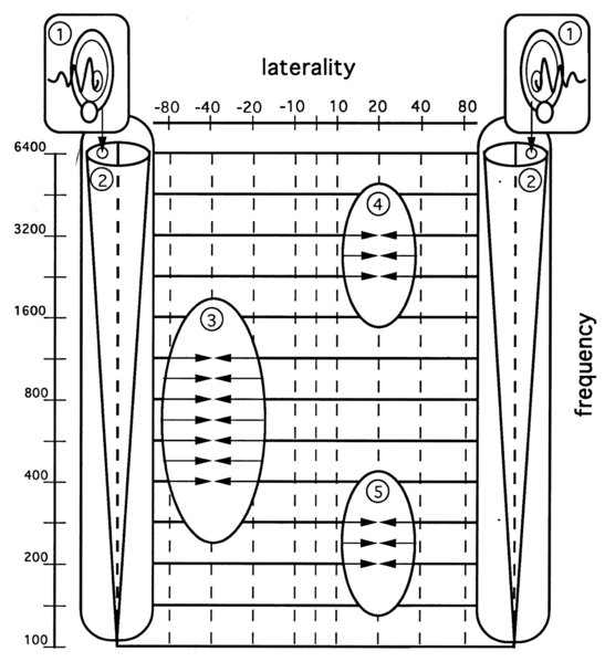File:Frequency-Laterality-Plane.png