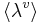 \langle\lambda^v\rangle