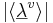 |\langle\underline{\lambda}^v\rangle|