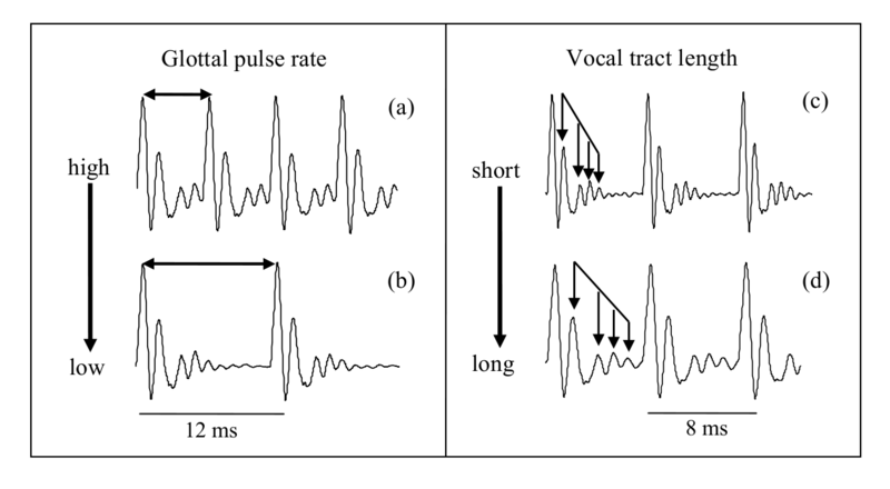 File:SHAR-figure1.png