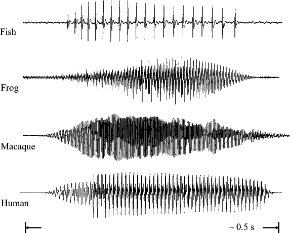 File:SHAR-figure2.pdf