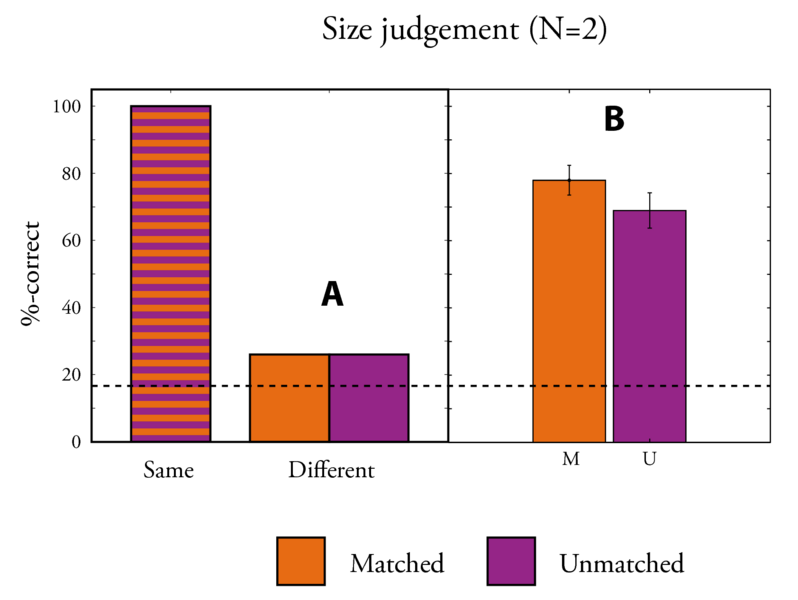 File:SizeStreaming Results SJ RSP.eps