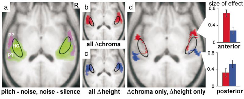 File:WUPGpnas03 fig3.PNG