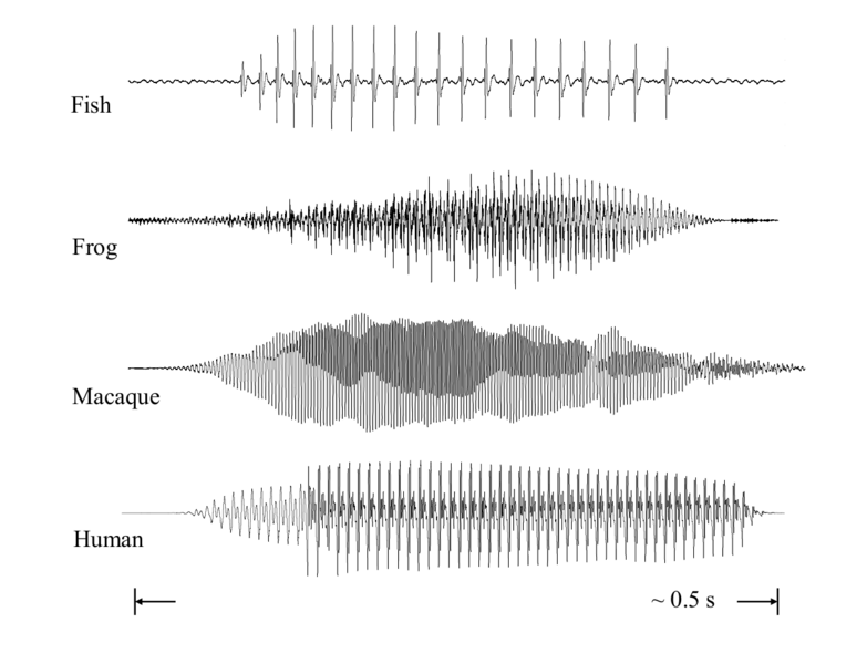 File:SHAR-figure2.png