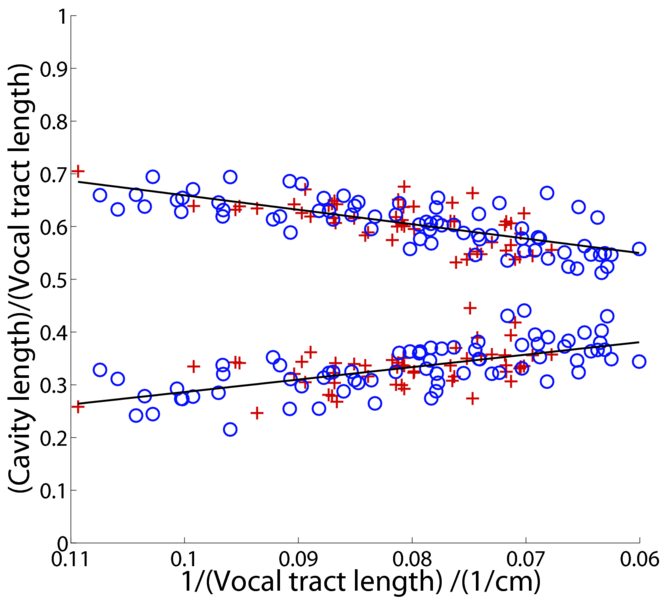 File:Fig05rp.eps