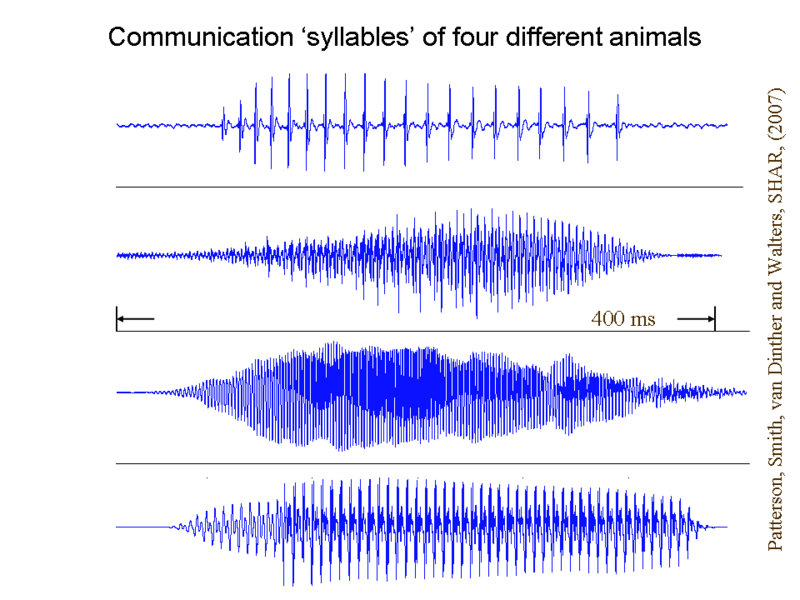 File:AnimalSyllables.png