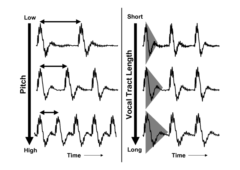 File:VTl-GPR Waveforms.pdf